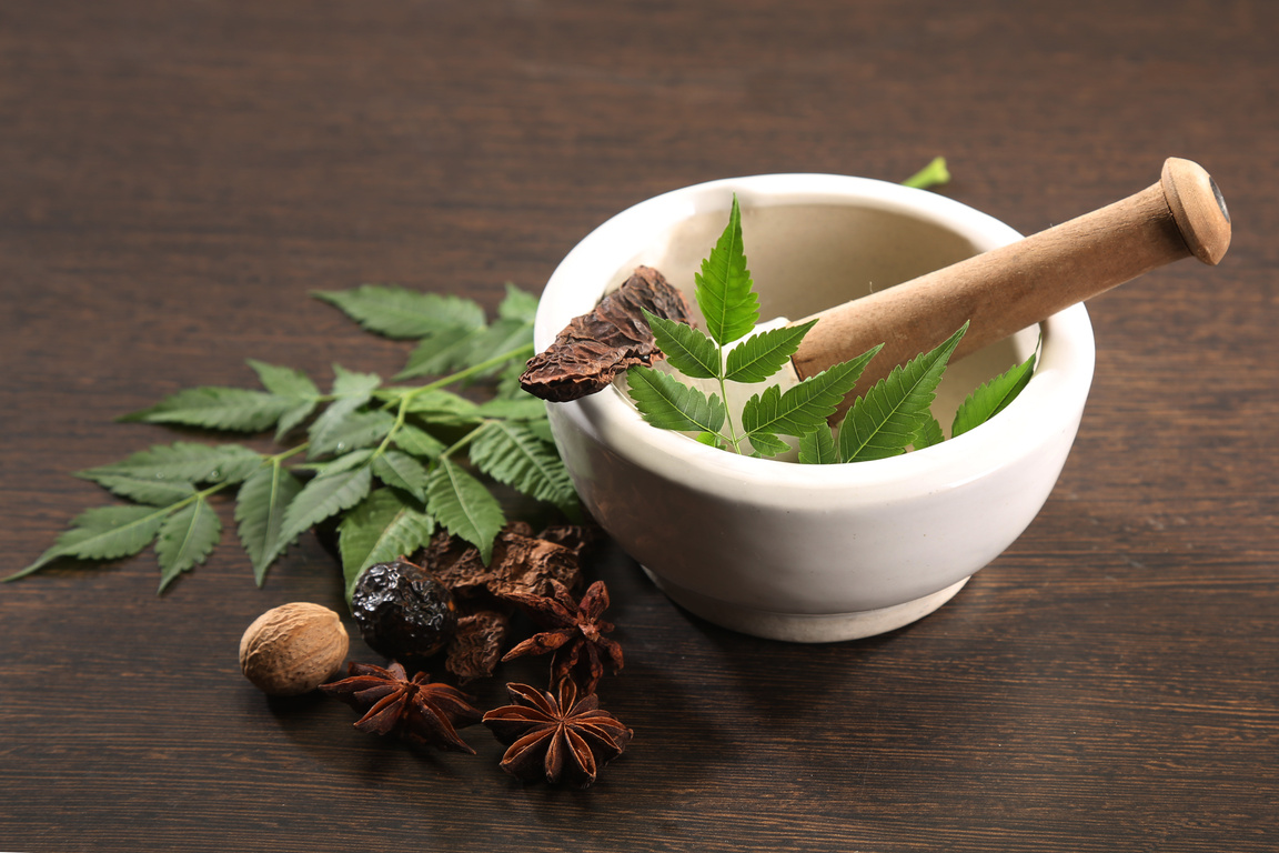 Ayurvedic Herbs with Mortar and Pestle